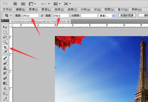 用什么软件能把大尺寸的照片变成小尺寸了照片