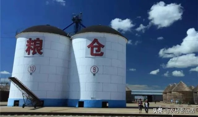 受疫情影响，已有国家禁止出口粮食，你怎么看？