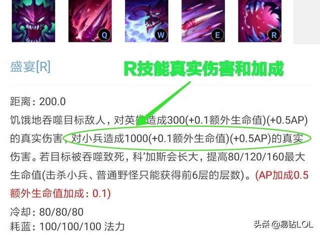 锤石抢大龙图片大全