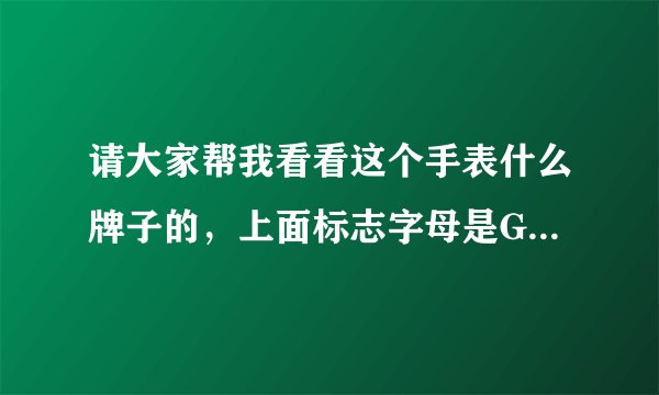 请大家帮我看看这个手表什么牌子的，上面标志字母是GUCCI是机诫男士手表。