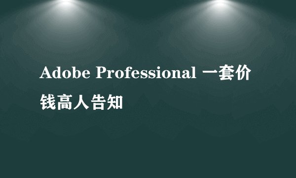 Adobe Professional 一套价钱高人告知