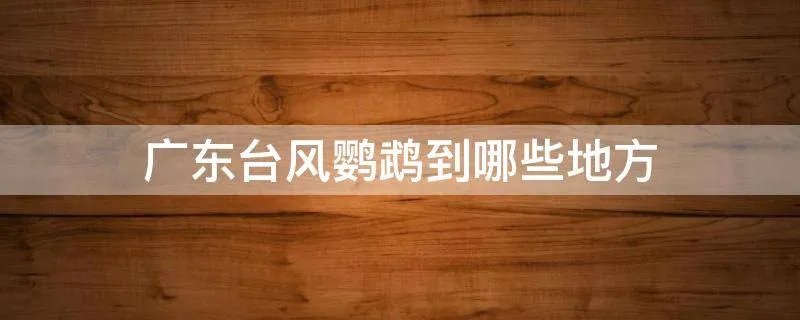 广东台风鹦鹉到哪些地方