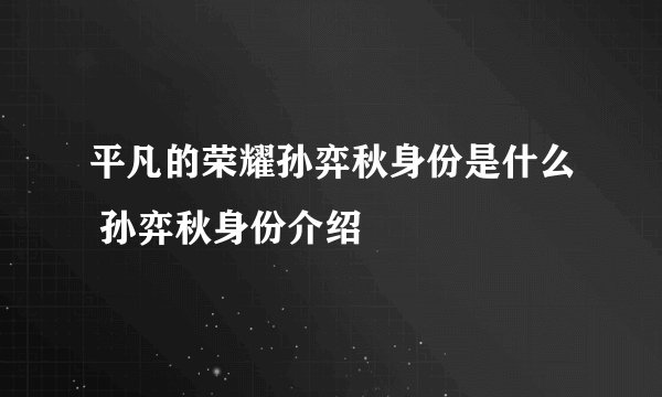 平凡的荣耀孙弈秋身份是什么 孙弈秋身份介绍