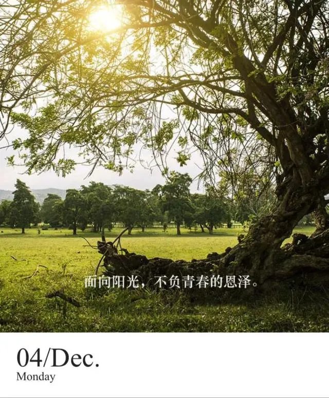 暨南大学新生入学要求读什么