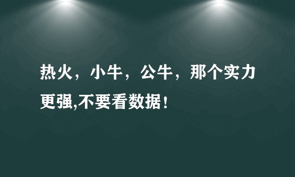 热火，小牛，公牛，那个实力更强,不要看数据！