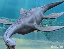 海怪和水怪，有什么区别？