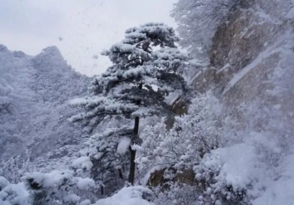 北风那个吹什么歌曲