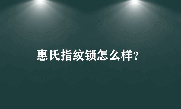 惠氏指纹锁怎么样？