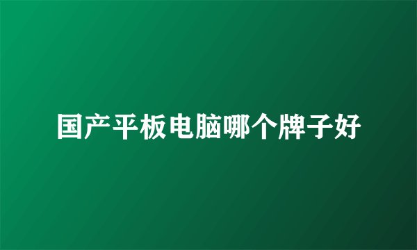 国产平板电脑哪个牌子好