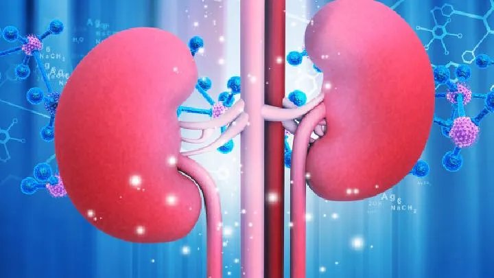 肾囊肿患者的饮食注意事项