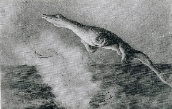 《战舰猎手》我的船被击沉后竟然炸出了大海怪