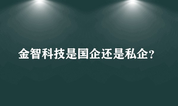 金智科技是国企还是私企？