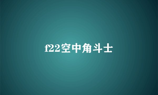 f22空中角斗士