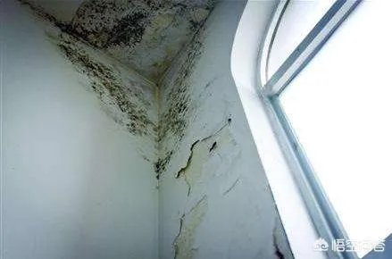 为什么农村的自建房会出现墙面裂缝、开裂、返潮的质量问题？问题出在哪？该怎么解决？