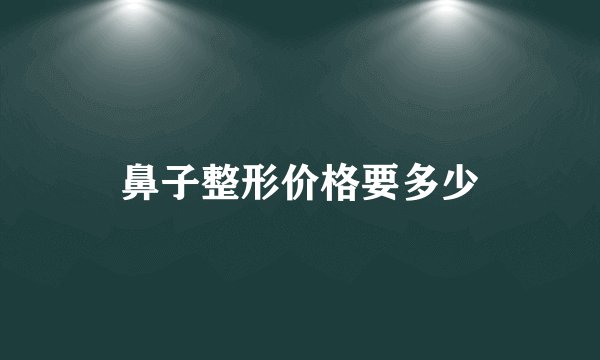 鼻子整形价格要多少