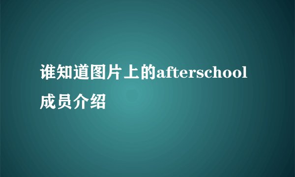 谁知道图片上的afterschool成员介绍