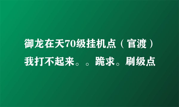 御龙在天70级挂机点（官渡）我打不起来。。跪求。刷级点