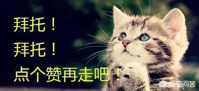 为什么格里芬一打火箭就来劲？最后时刻要命三分差点绝杀火箭什么水平？