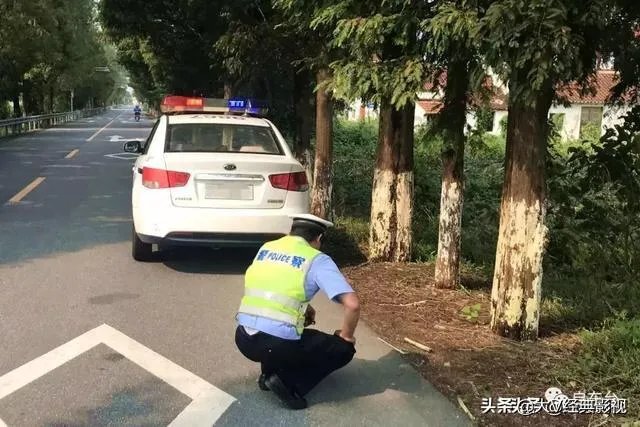 江苏启东：女司机撞伤老人逃逸被抓, 你怎么看？