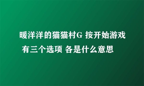 暖洋洋的猫猫村G 按开始游戏 有三个选项 各是什么意思