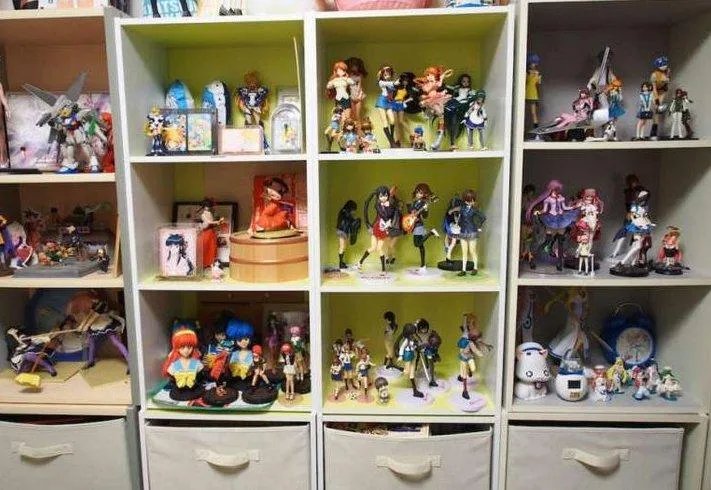 最强宅男 为收藏游戏建了栋房