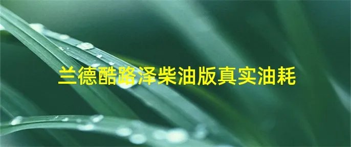 兰德酷路泽柴油版真实油耗