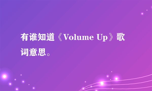 有谁知道《Volume Up》歌词意思。