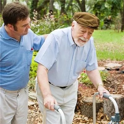 过敏性紫癜吃点什么好