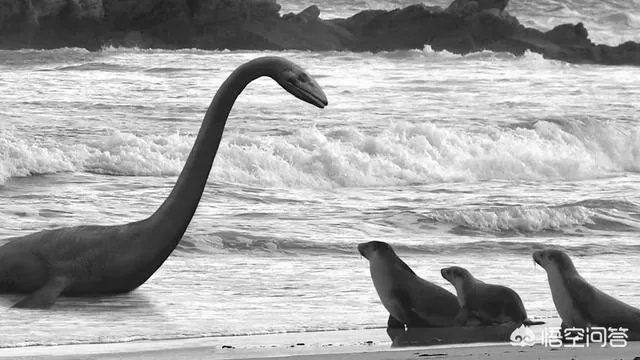 海怪和水怪，有什么区别？