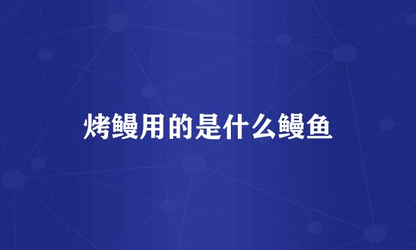 烤鳗用的是什么鳗鱼