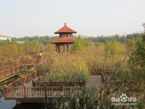 厦门五缘湾湿地公园好玩吗