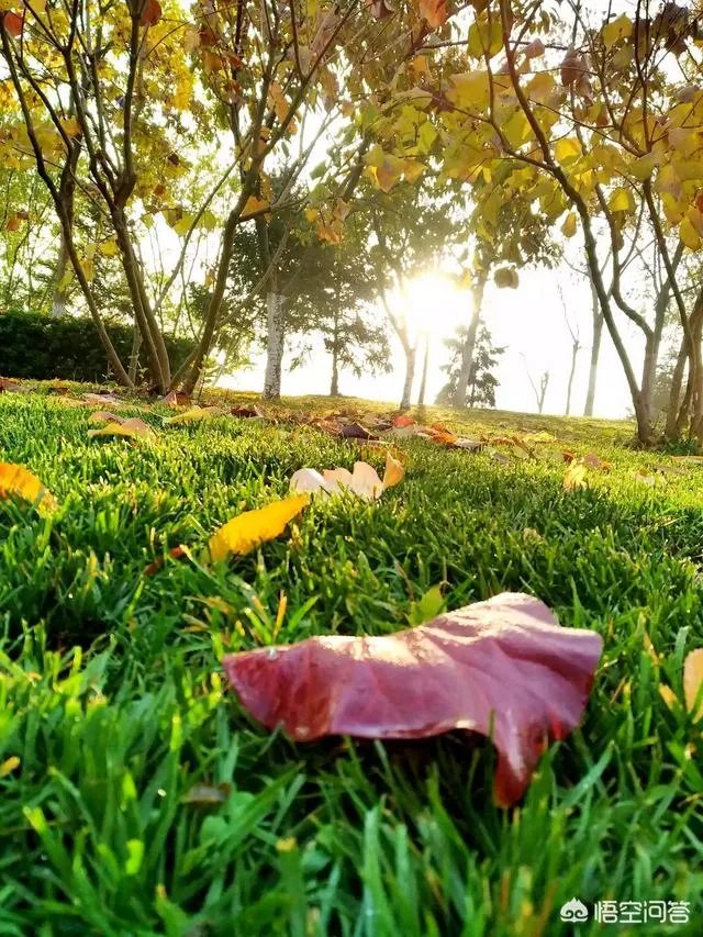 摄影是艺术吗？