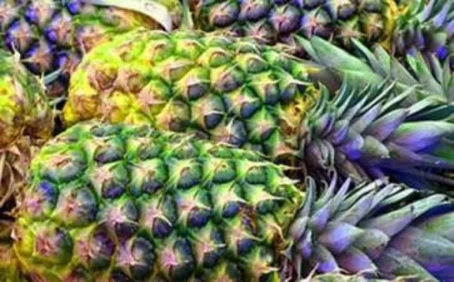 广州菠萝诞是什么 -资料