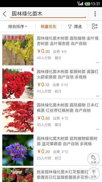 园林绿化苗木价格哪里准确？