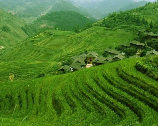 请问你们有在游戏厅打鱼输很多钱的吗？