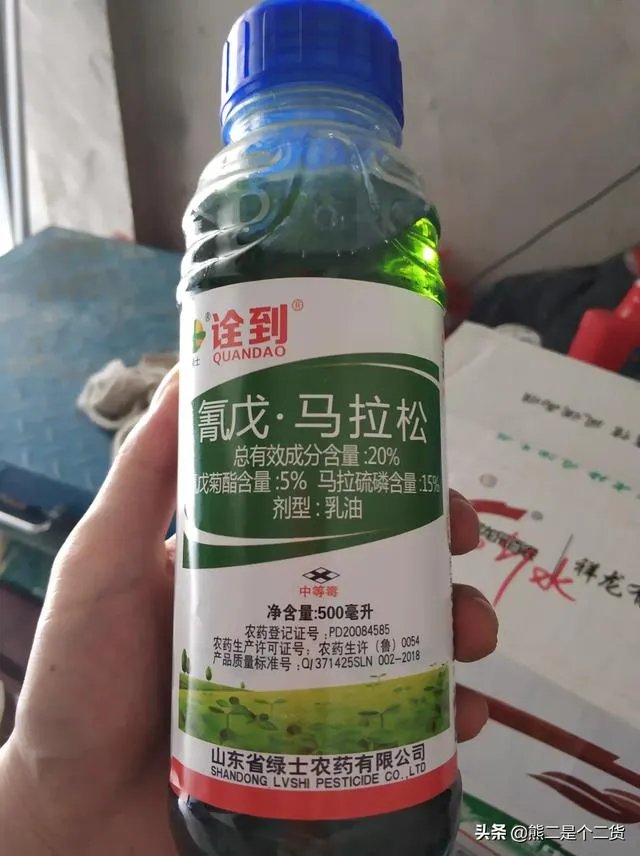 怎么防治柑橘病虫害？