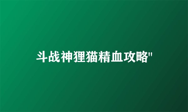 斗战神狸猫精血攻略