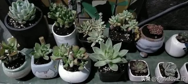 七十平小超市，营业额一天三千往上，房租七万，适合夫妻经营吗？为什么？