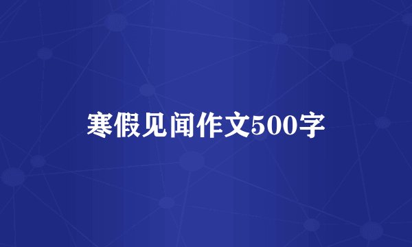 寒假见闻作文500字