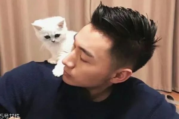 脸胖的男生适合什么发型 适合男生的发型