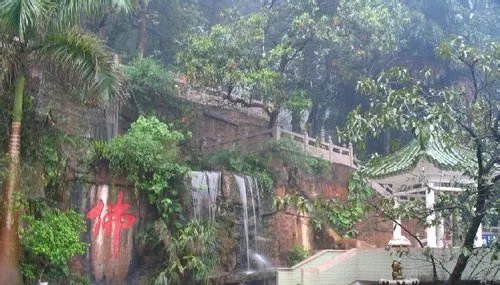 深圳到肇庆七星岩鼎湖山二日游