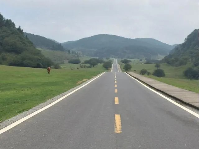 重庆出发3天自驾游攻略求推荐？