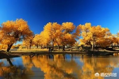 你觉得国内哪些旅游景点是摄影创作团队最爱去的？