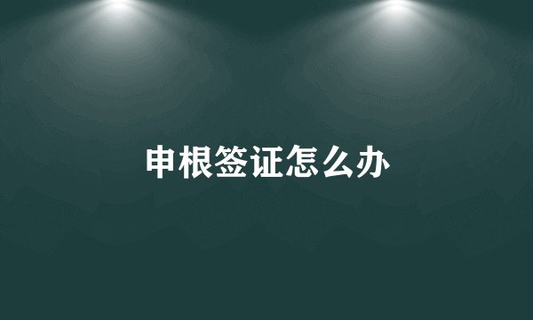 申根签证怎么办