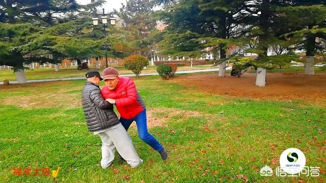 如何评价太极推手？