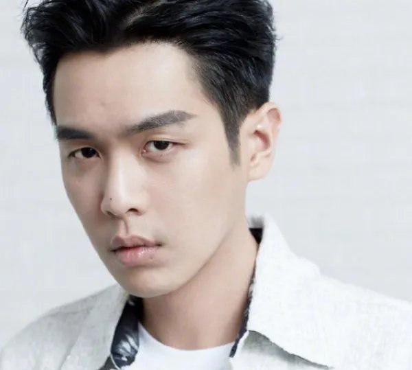 张若昀撤回对父亲的起诉，你赞成张若昀这一做法吗？