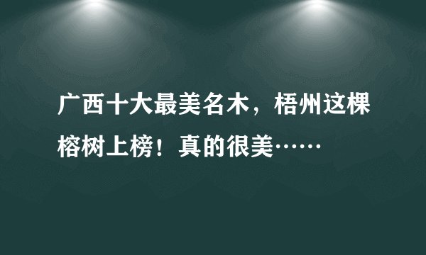 广西十大最美名木，梧州这棵榕树上榜！真的很美……