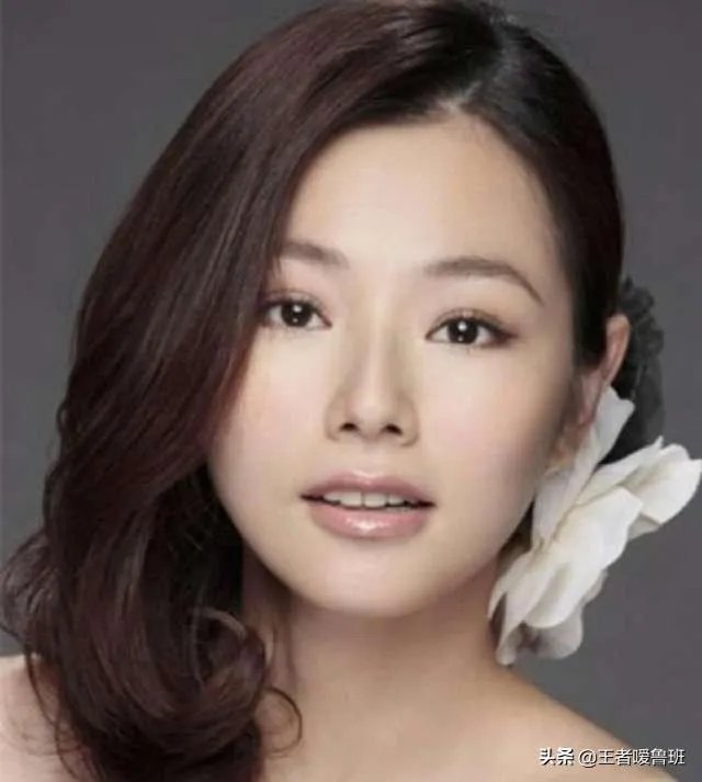 陈怡蓉都主演过什么电视剧？