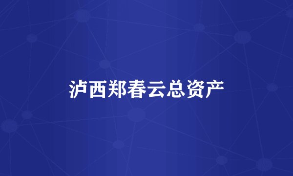 泸西郑春云总资产