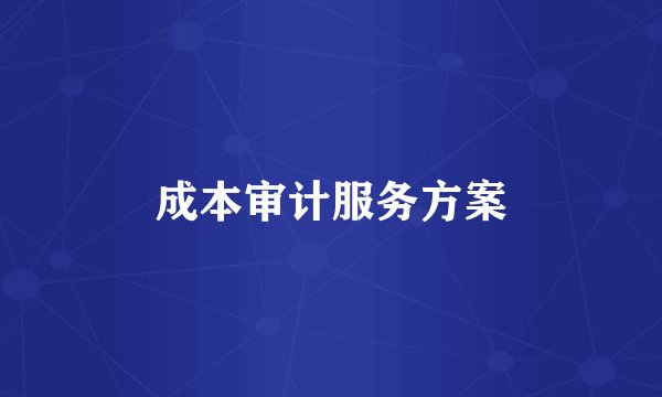 成本审计服务方案